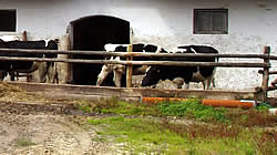 zbiorniki gnojowicy, biogazownie, RSM, zbiorniki magazynowe gnojowicy